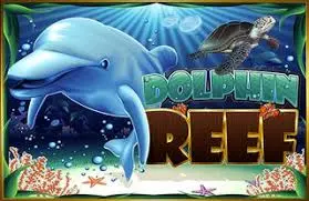 Trik untuk Mendapatkan Jackpot di game Slot88 Dolphin Reef